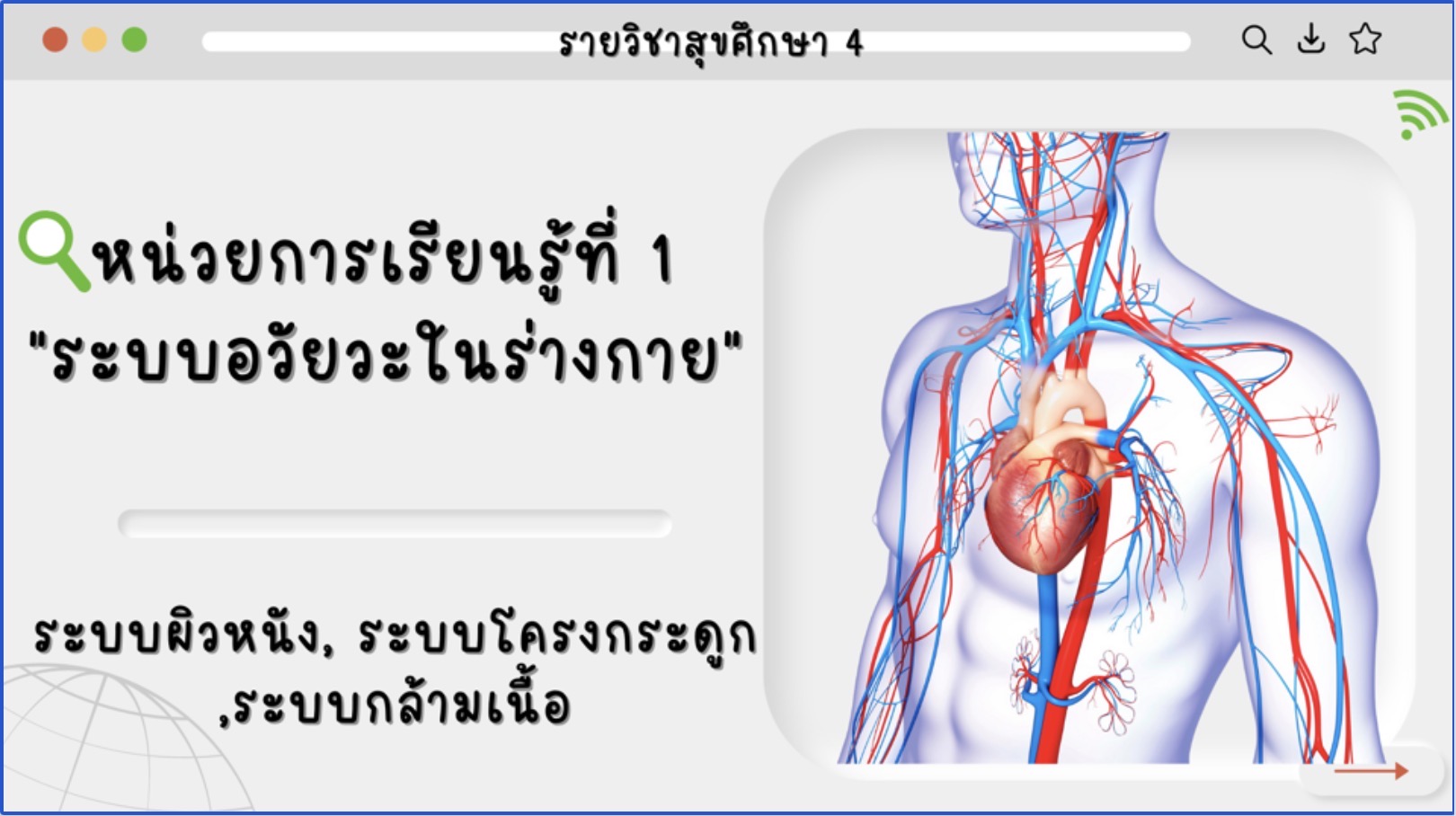 ภาพ ระบบอวัยวะมหาสนุก